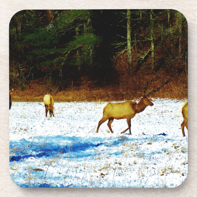 DESSOUS-DE-VERRE DSC00131.JPG (Devant)