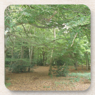 Dessous de verre du liège de défrichement des bois