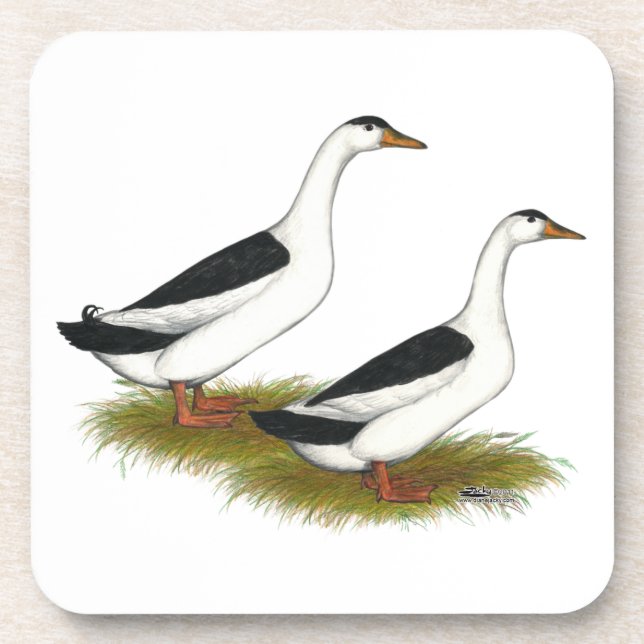 Dessous-de-verre Ducks : Black Magpies (Devant)