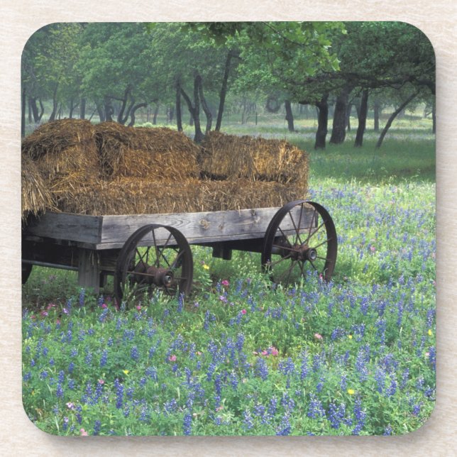 Dessous-de-verre É.-U., Texas, à l'est de Devine, Vieux chariot dan (Devant)