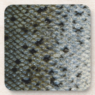 Dessous-de-verre Échelles de poissons 2