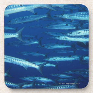 Dessous-de-verre École des poissons 9