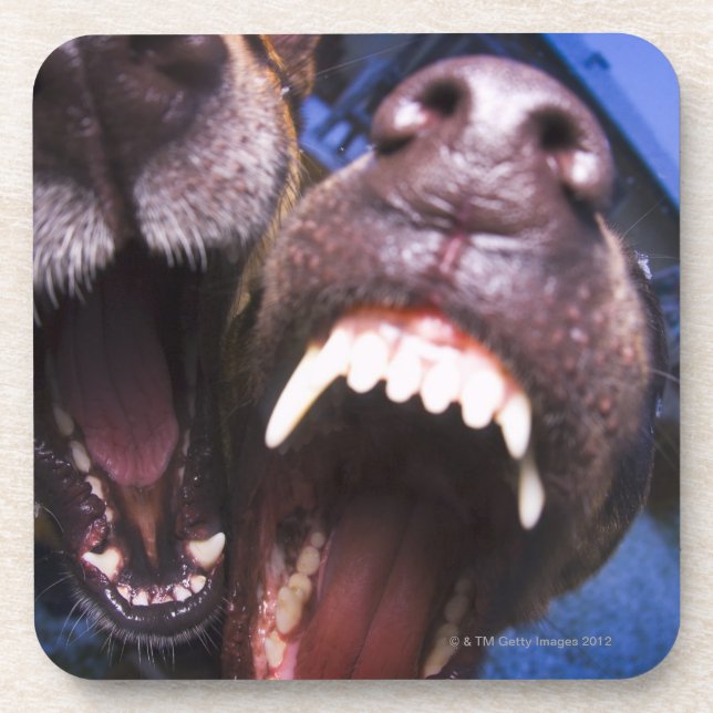 Dessous-de-verre Écorcement de chiens (Devant)