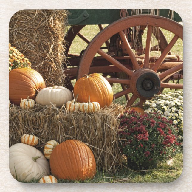 Dessous-de-verre Écran Citrouille Automne Et Mère (Devant)