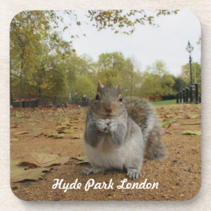 Dessous-de-verre Écureuil gris Hyde Park Londres.