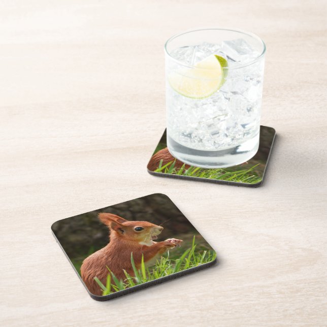 Dessous-de-verre Écureuil rouge joyeux (Côté Droit)