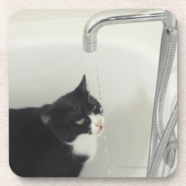 Dessous-de-verre Égoutture d'eau potable de chat d'un robinet (Devant)