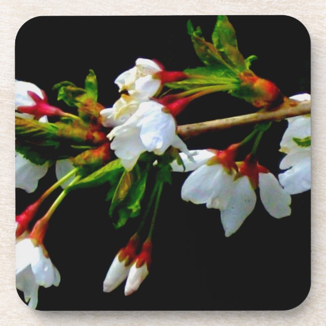 Dessous-de-verre Élégant noir blanc fleuri blanc Blossom (Devant)