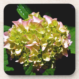 Dessous-de-verre Elégant vert doux vert rose vert vert hydrangée