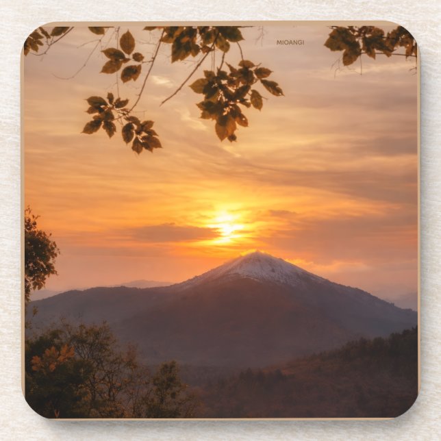 Dessous-de-verre elegante  (Devant)