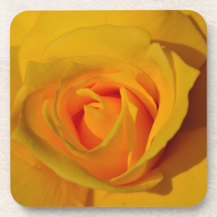 Dessous-de-verre Élégante fleur florale Rose jaune