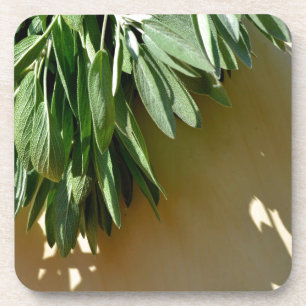 Dessous-de-verre Elégante plante verte feuille sauge