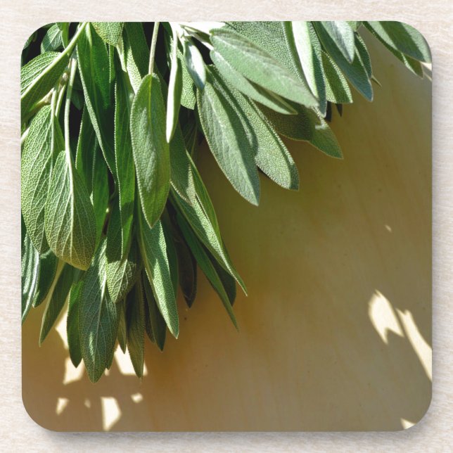 Dessous-de-verre Elégante plante verte feuille sauge (Devant)