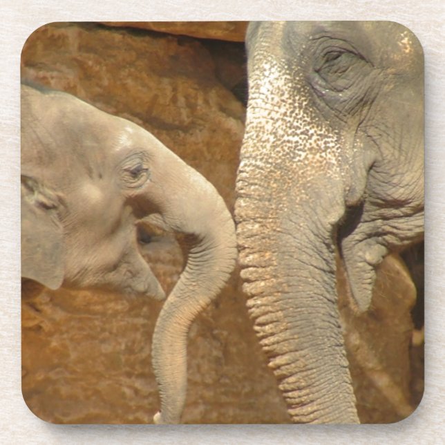 DESSOUS-DE-VERRE ÉLÉPHANTS (Devant)