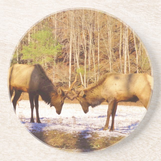 Dessous De Verre En Grès 2~ deux Bull Elk dans la neige (Devant)