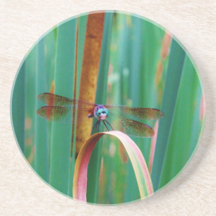 Dessous De Verre En Grès A teal Eyed Dragonfly with cattails