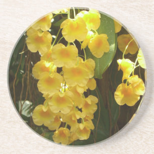Dessous De Verre En Grès Accrocher les orchidées jaunes Fleurs tropicales