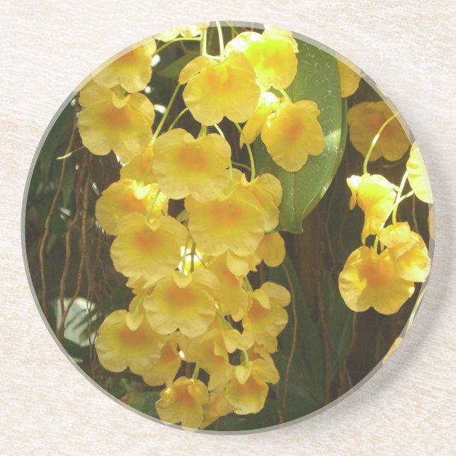 Dessous De Verre En Grès Accrocher les orchidées jaunes Fleurs tropicales (Devant)