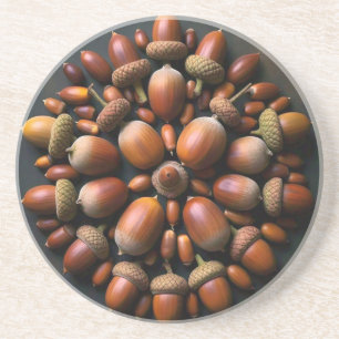 Dessous De Verre En Grès Acorns