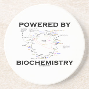 Dessous De Verre En Grès Actionné par la biochimie (cycle de Krebs)