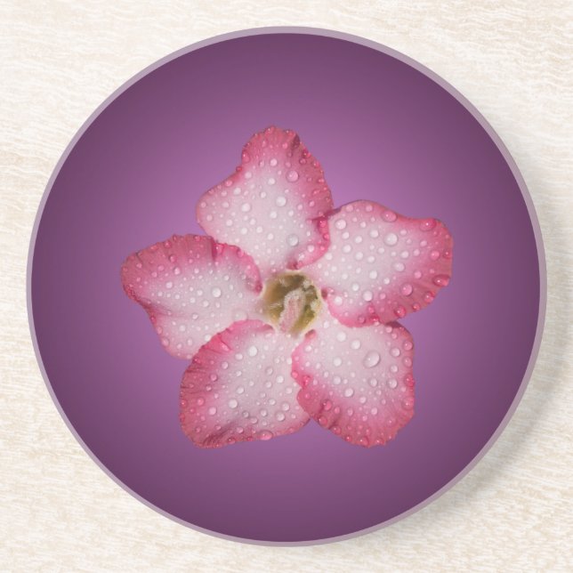 Dessous De Verre En Grès Adénium Fleur Rose Flore Dégradé Violet (Devant)