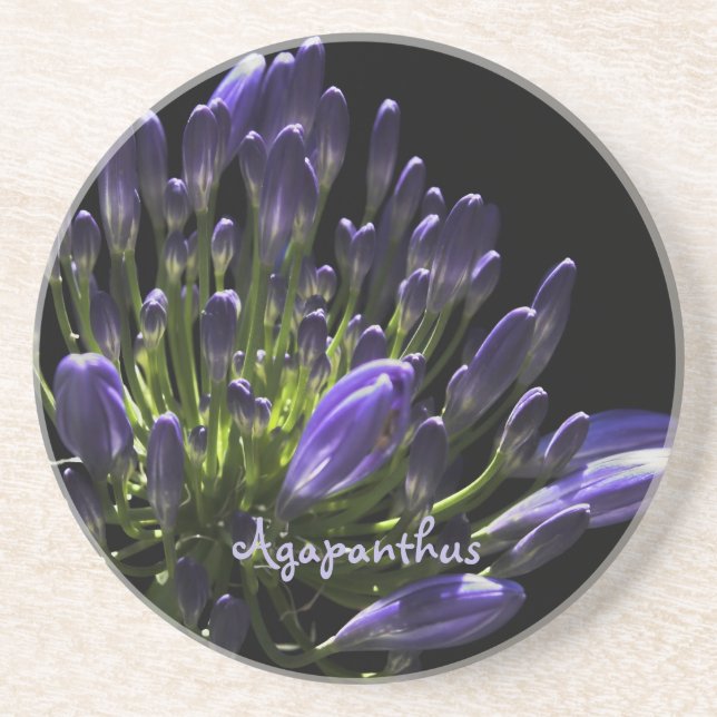 Dessous De Verre En Grès Agapanthus violet à floraison solaire, Lily africa (Devant)