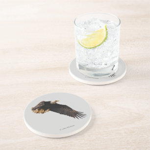 Dessous De Verre En Grès Aigle à tête blanche, oiseau de proie en vol