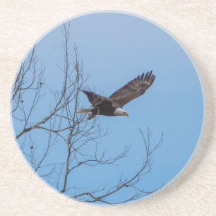 Dessous De Verre En Grès Aigle en vol