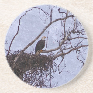 Dessous De Verre En Grès Aigle Et Nid Pictural