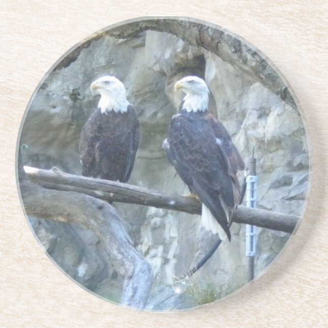 Dessous De Verre En Grès Aigles chauds (Devant)