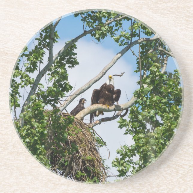 Dessous De Verre En Grès Aigles chauds (Devant)
