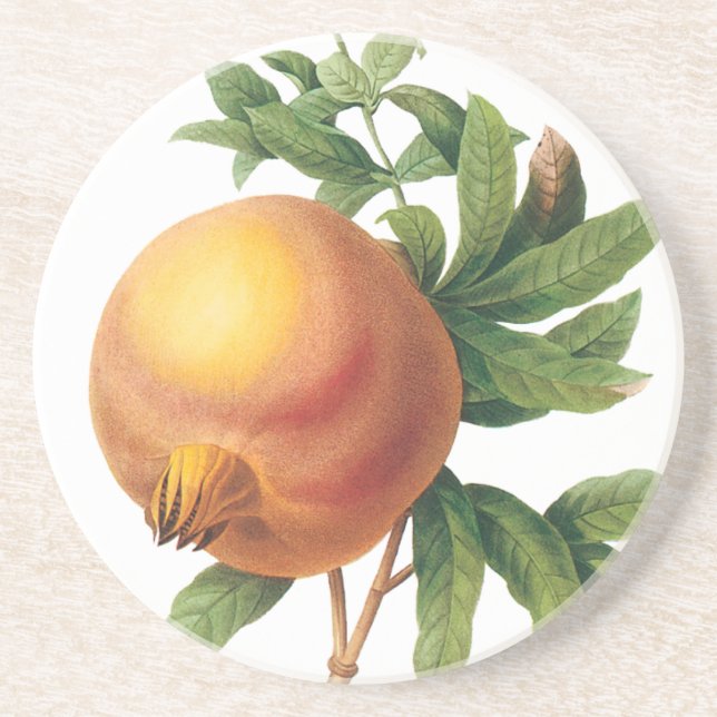 Dessous De Verre En Grès Aliments anciens Fruits, Grenade par Redoute (Devant)