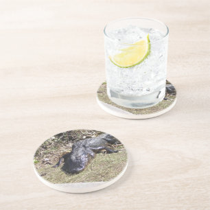 Dessous De Verre En Grès Alligator se reposant sur l'herbe lumineuse des Ev