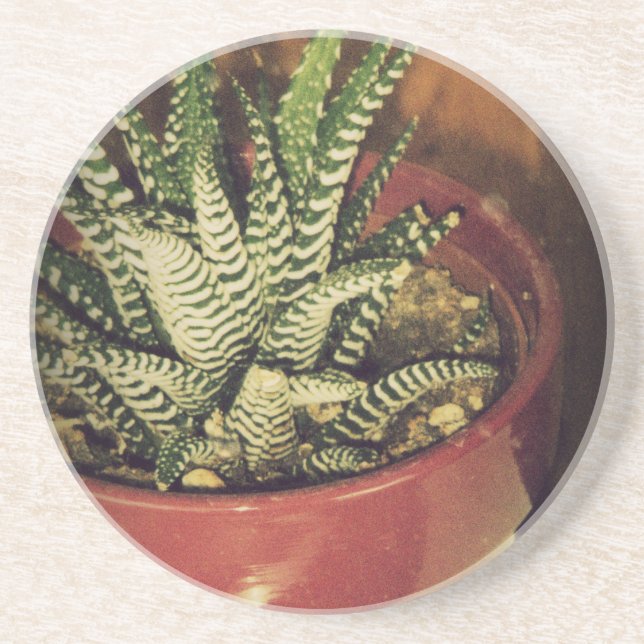 Dessous De Verre En Grès aloe (Devant)