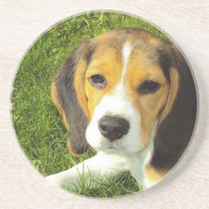 Dessous De Verre En Grès Amour de paix d'animaux de compagnie de chien de b