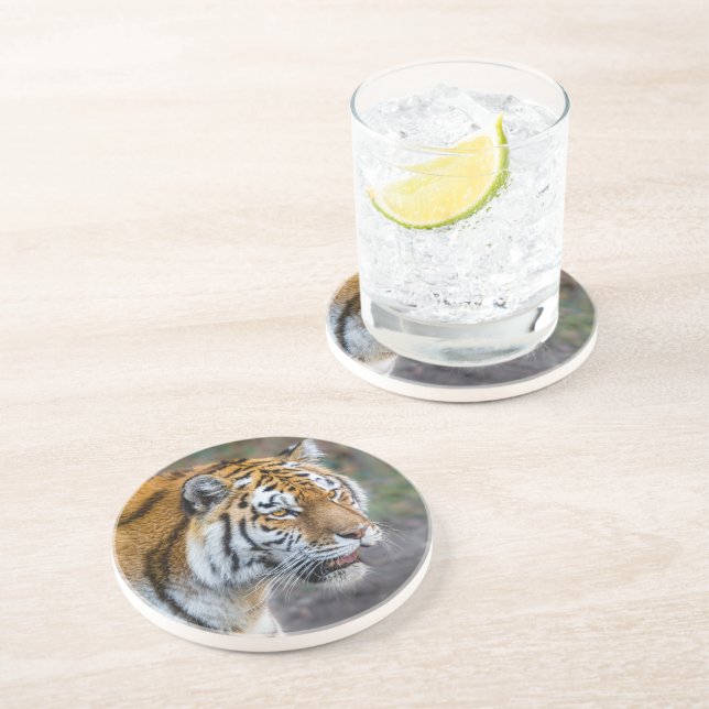 Dessous De Verre En Grès Amur tiger (Côté)