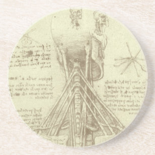 Dessous De Verre En Grès Anatomie humaine colonne vertébrale par Leonardo d