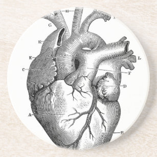 Dessous De Verre En Grès Anatomie vintage   de coeur personnalisable