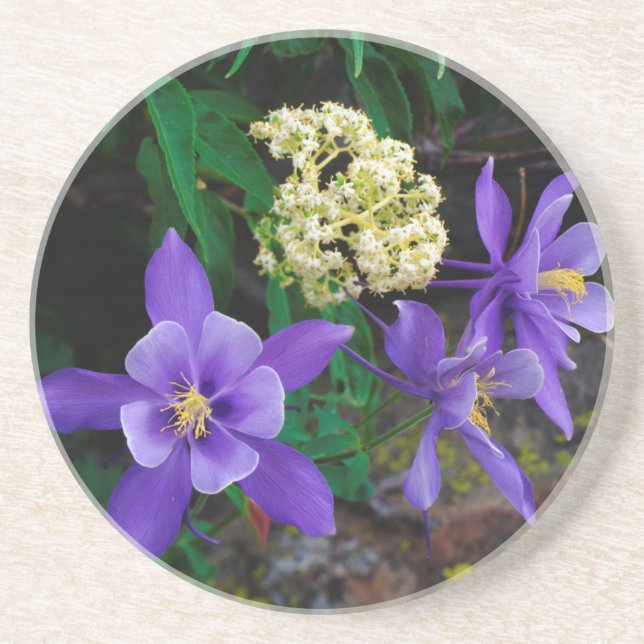 Dessous De Verre En Grès Ancolies Mutantes Fleurs Sauvages (Devant)