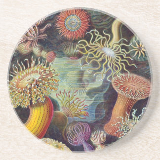 Dessous De Verre En Grès Anémone marine vintage de Haeckel