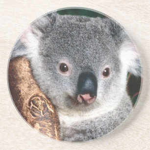 Dessous De Verre En Grès Animal de pays de l'Australie d'ours de koala à