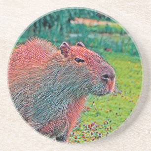 Dessous De Verre En Grès AnimalMix_Capybara_002