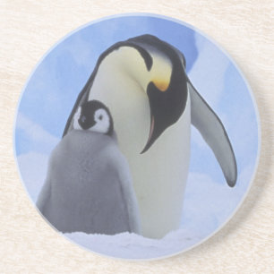 Dessous De Verre En Grès Antarctique. Manchots empereurs et poussin