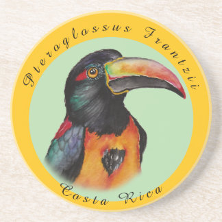 Dessous De Verre En Grès Aquarelle toucan