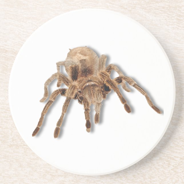 Dessous De Verre En Grès Araignée de tarentule (Devant)