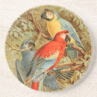 Dessous De Verre En Grès Aras colorés vintages