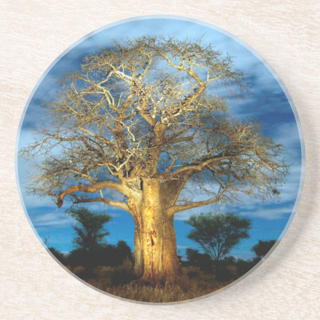 Dessous De Verre En Grès Arbre Baobab (Adansonia) illuminé par la lune (Devant)
