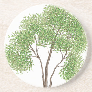 Dessous De Verre En Grès Arbre de Cottonwood