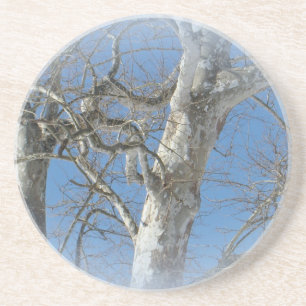 Dessous De Verre En Grès Arbre Sycamore contre les objets Sky hivernaux
