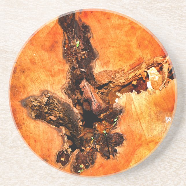 DESSOUS DE VERRE EN GRÈS ARBRES (Devant)